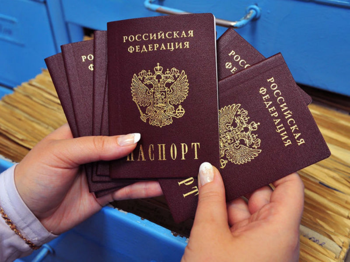Последствия голосования: хакеры продают номера паспортов россиян